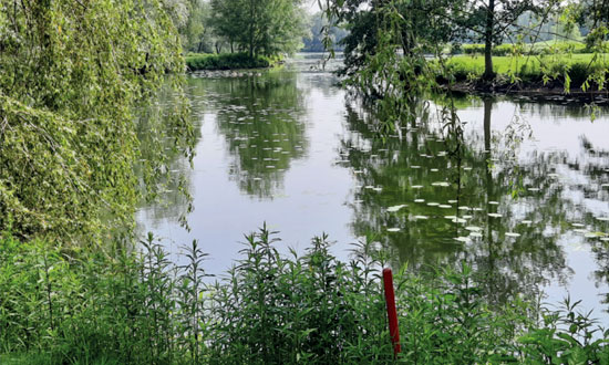soufflenheim_bio.jpg